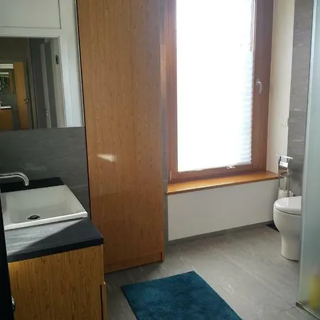 Apartament Wille Parkowa - Centrum Katowic Apartment Katowice