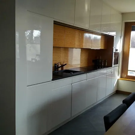 Apartament Wille Parkowa - Centrum Katowic * Katowice